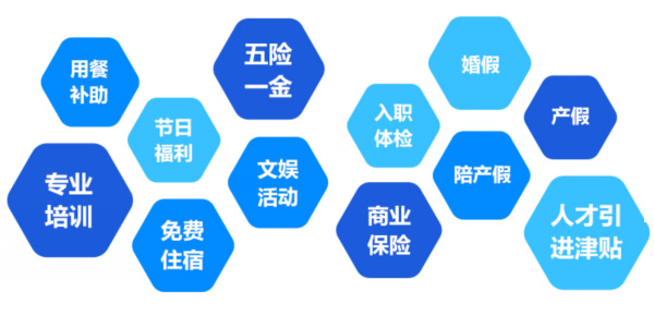 提供全面、系統(tǒng)、專業(yè)的培訓(xùn)和廣闊的<br>職業(yè)發(fā)展空間和提升機(jī)會
